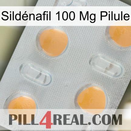 Sildénafil 100 Mg Pilule 24